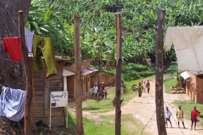 Healthcare in Burundi and DRC | Social Sciences Division