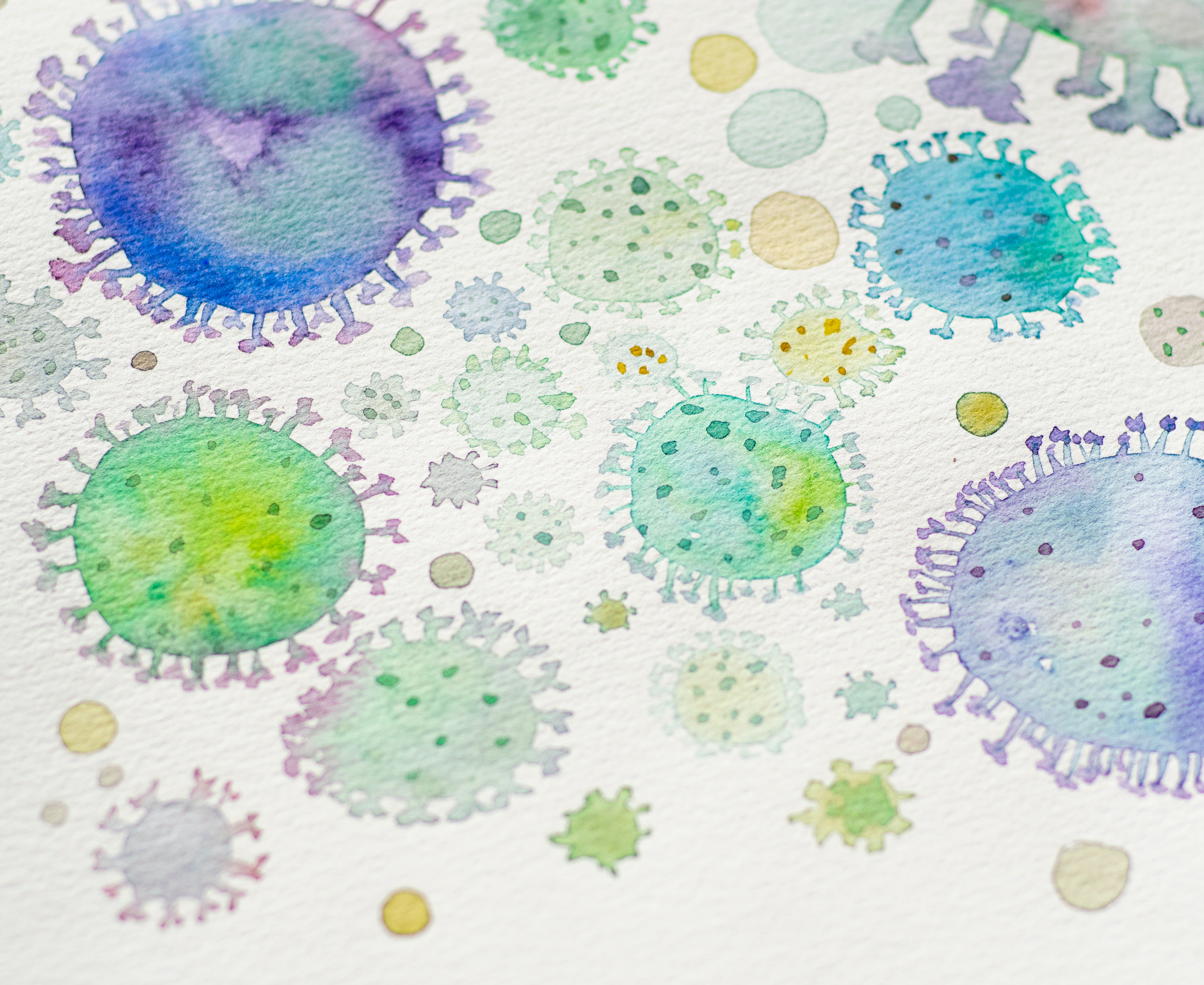 Are Germs Really That Bad?  The Surprising Answer - gr0lo1w