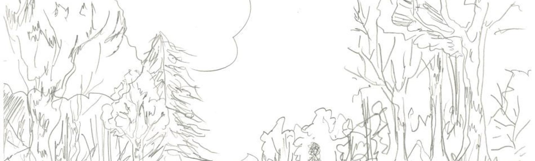 A hand-drawn pencil sketch of a person walking through a wood.
