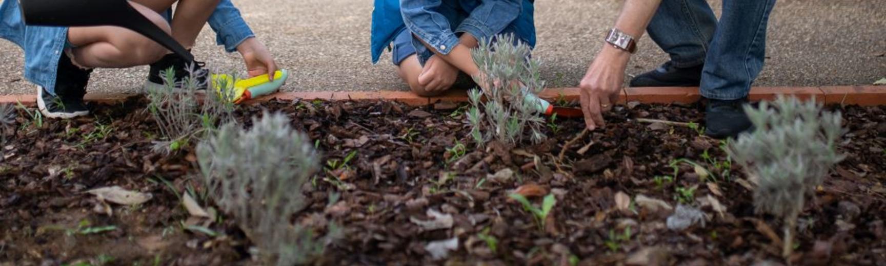 two children and an adult gardening a plot of soil with flowers