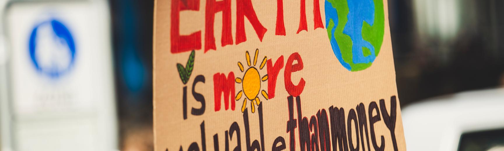 A homemade protest placard reads in bright-coloured paint "Earth is more valuable than money", including a painting of a plant, a sun, and the earth