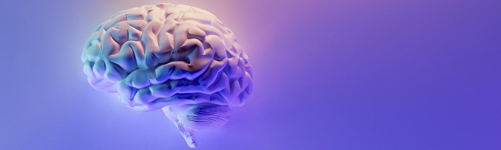 brain and mental health at oxford