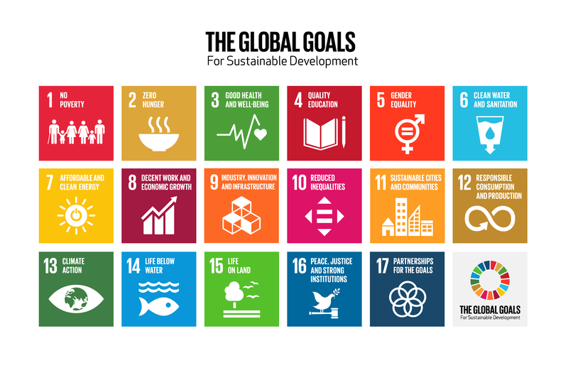 Graphic grid illustrating the 17 Sustainable Development Goals