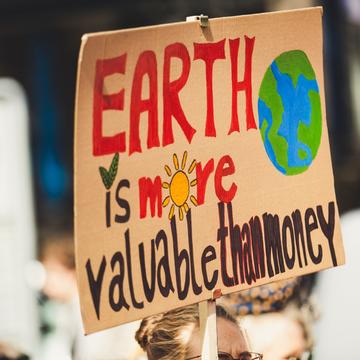 A homemade protest placard reads in bright-coloured paint "Earth is more valuable than money", including a painting of a plant, a sun, and the earth