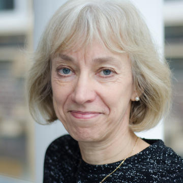 Professor Heather Viles