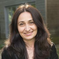 Professor Alis Oancea Alis Oancea