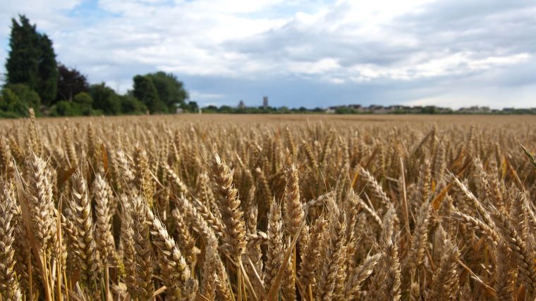 can stone age farmers teach us anything about farming today