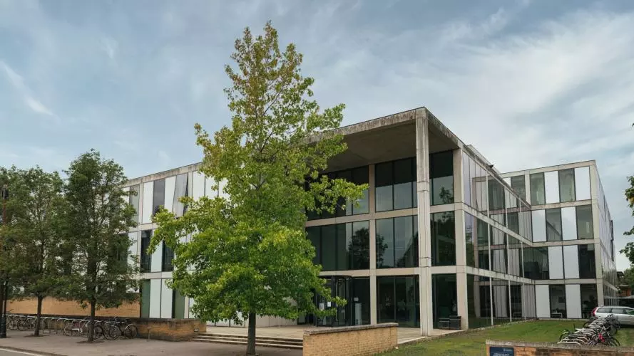 A modern building with large glass windows set in rectangular patterns, with large trees growing in front.