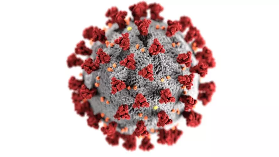 Coronavirus by CDC