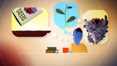 bbcideas visualising tn1