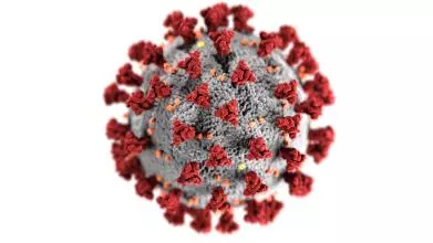 Coronavirus by CDC