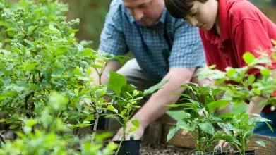 A father and son do some gardening together