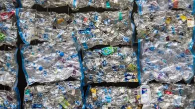 A wall of recycled plastic bottles