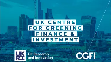 UK Centre for Greening Finance & Investment logo