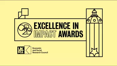 Yellow banner with the title Excellence in Impact Awards