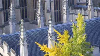 rd spires