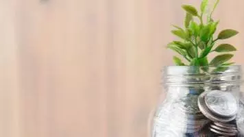 jar of coins with leaf growing out of top of jar
