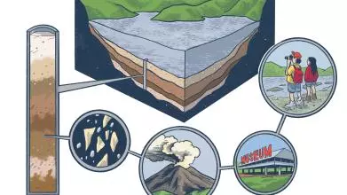 A cross-section of a lake showing layers of sediment on the lake bottom. Connected to a close-up of the sediment layers are an image of a volcano, a museum, and visitors to the site
