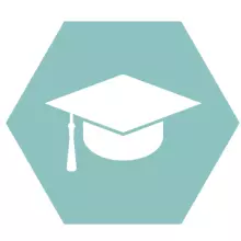 Light green hexagon icon