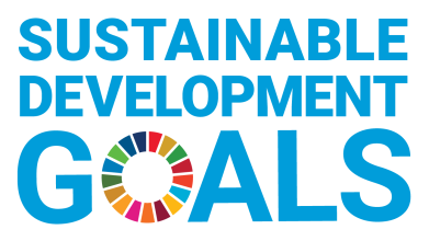 UN SDG logo