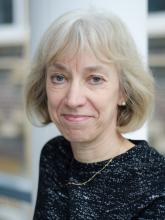 Professor Heather Viles