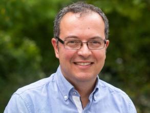 Professor Gabriel Stylianides