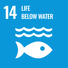 Logo UN SDG 14