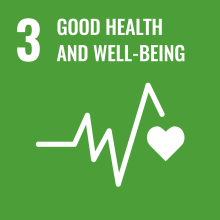Logo UN SDG 3