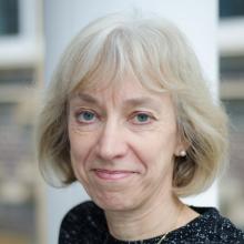 Professor Heather Viles